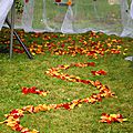 Mariage blanc rouge et orange, cérémonie laïque, décoration