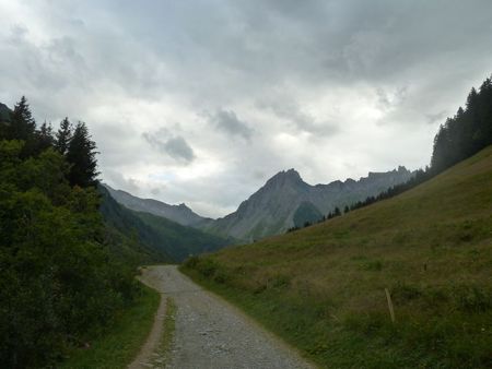 P1020803