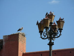 DSCN4736