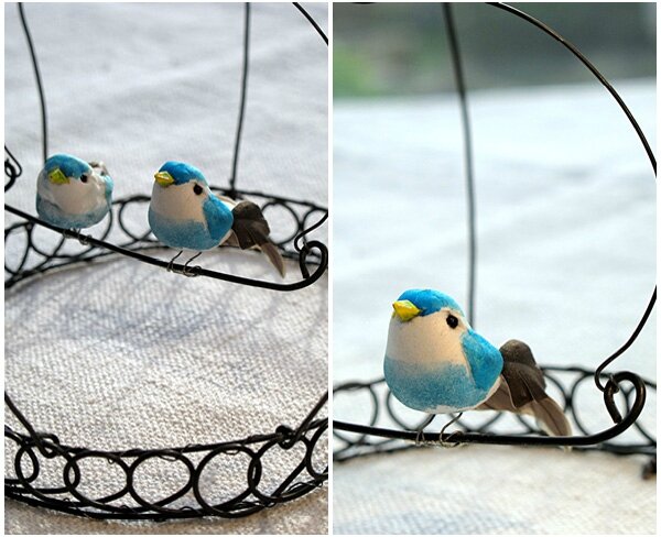 little-birds-detail3-4
