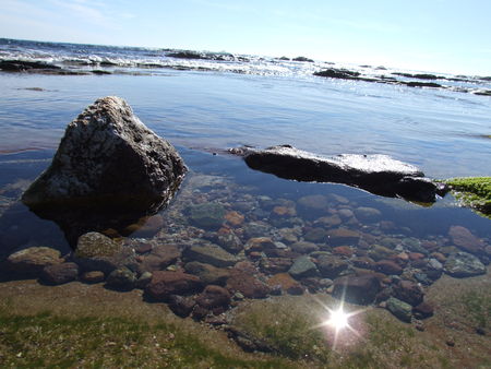 DSCF5083
