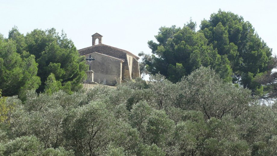 rencontre foret de bord