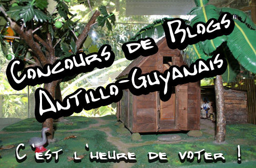 concours_blog_voter