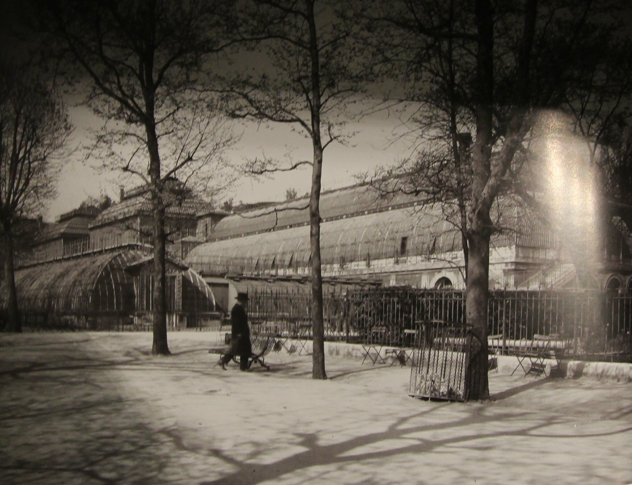 Jardin des plantes : tous les messages sur jardin des plantes ...