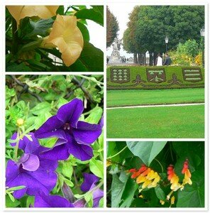 mosaicJardin