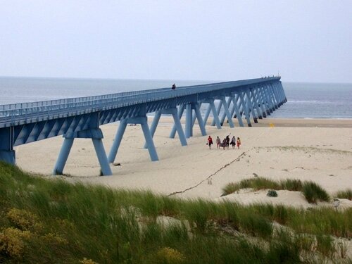 warf