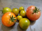 11-ratatouille-tomates