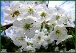 images (2)