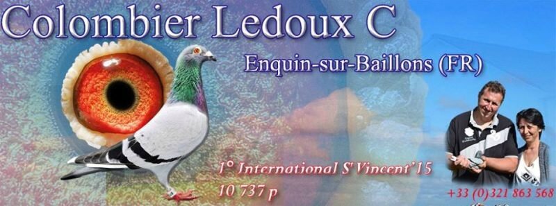 C Ledoux