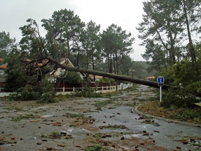 Photo-degats-vents-tempete-biscarosse-plage-chateau-eauXV