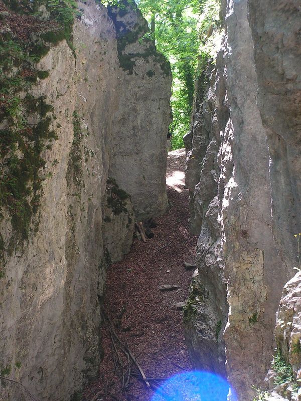 Rencontre ferte gaucher