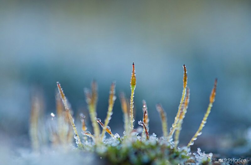 _DSC9977