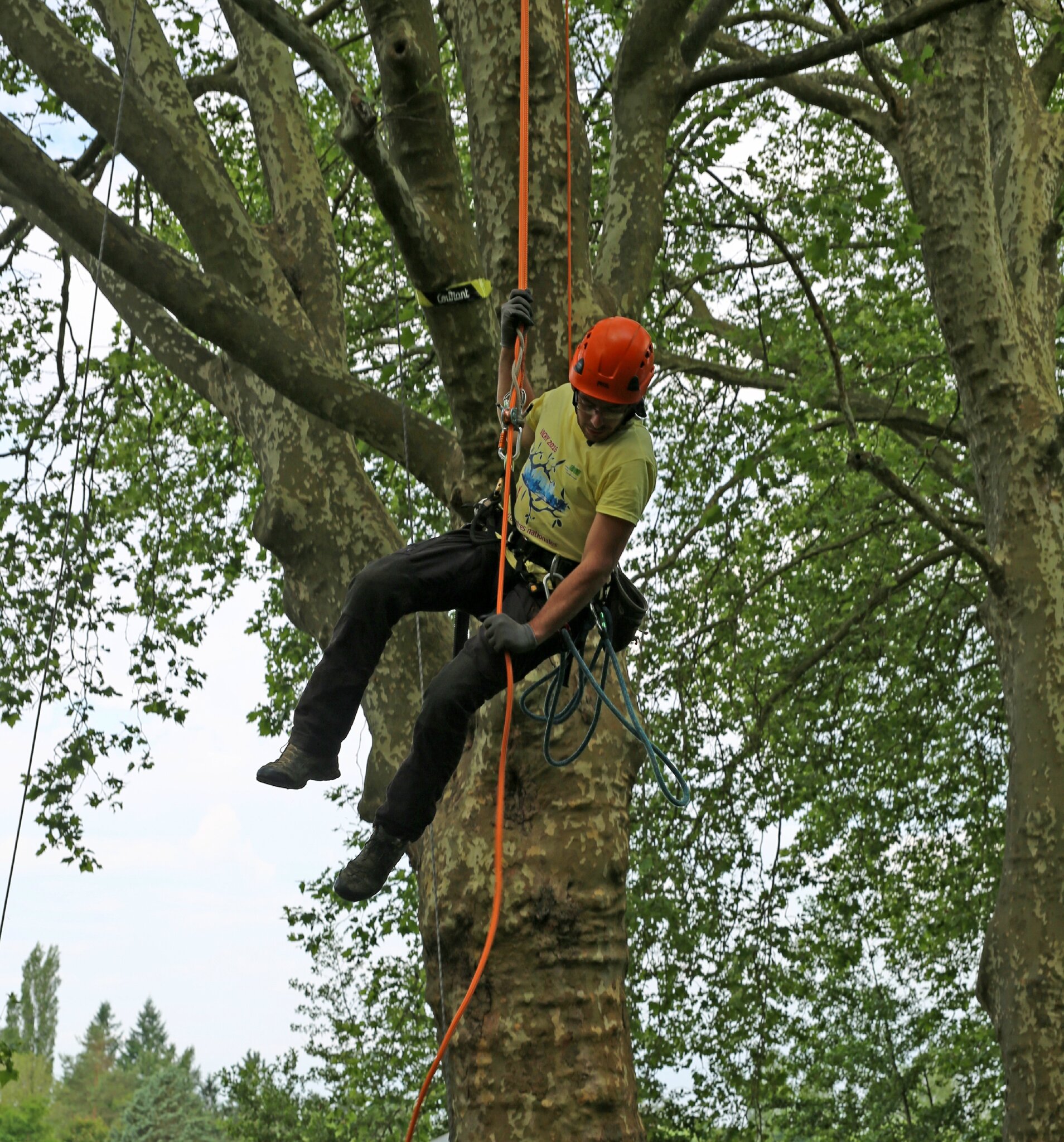 Rencontre nationale d'arboriculture 2016