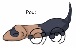 louloutteanimation