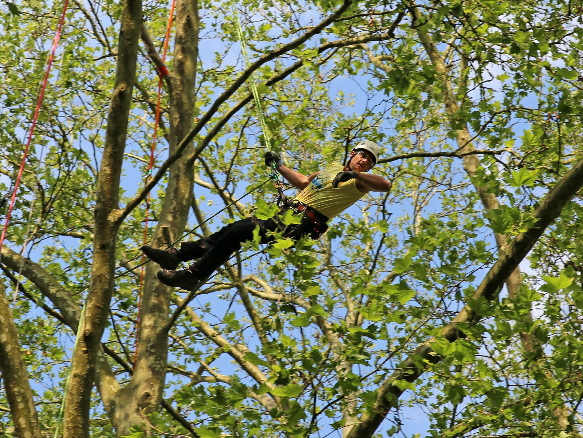 Rencontre nationale d'arboriculture 2016