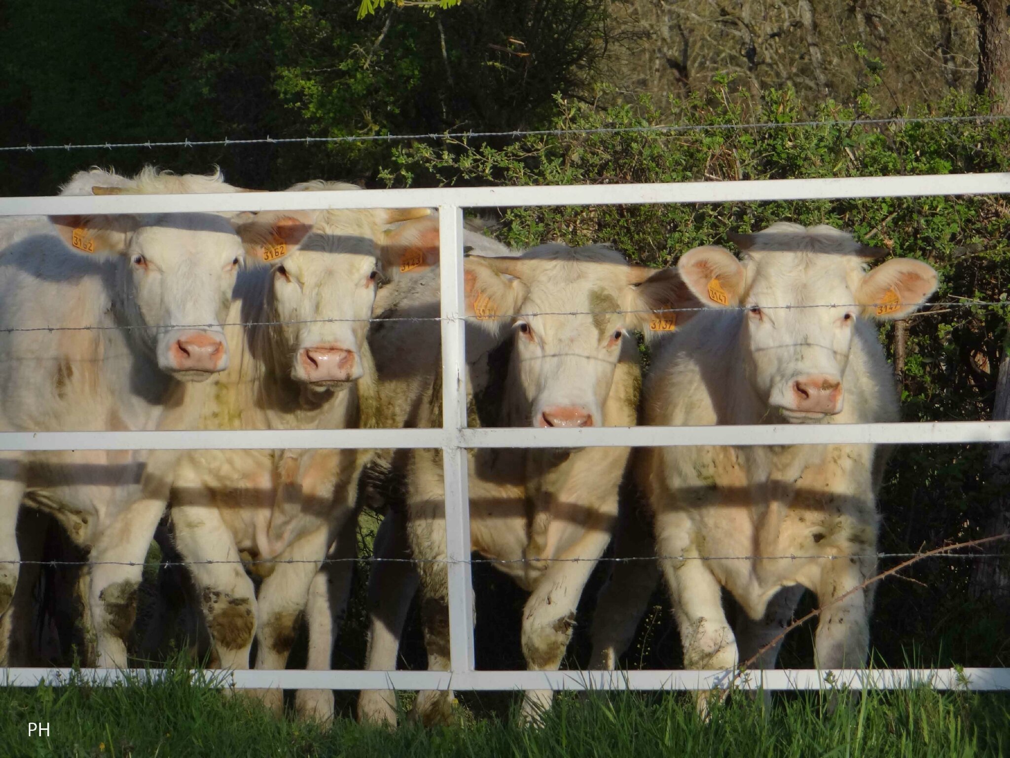 Comment faire rencontres nouvelle ville