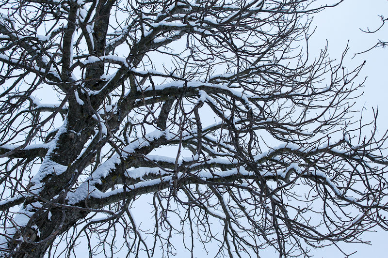 31012012_IMG_1613
