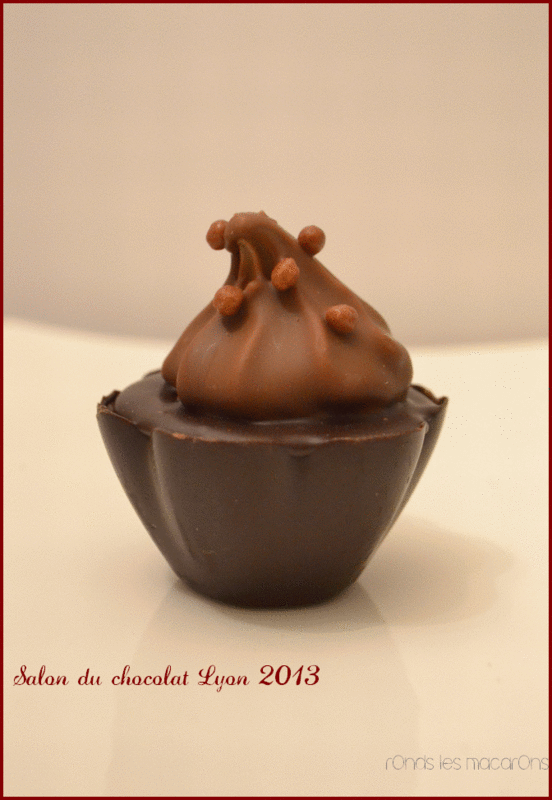 salon chocolat Lyon 2013 b8