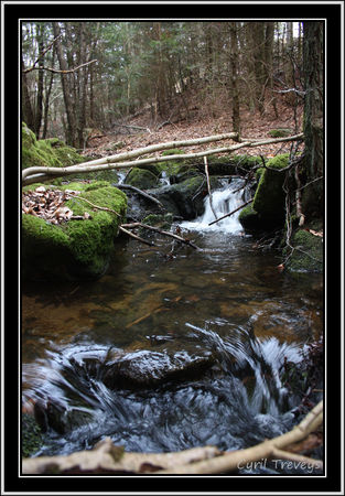 IMG_8751