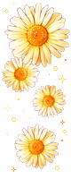 daisy 6