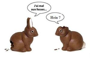 lapin6
