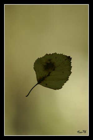 PICT3862_20