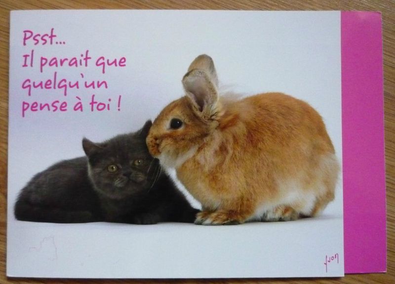 rencontre salaise sur sanne