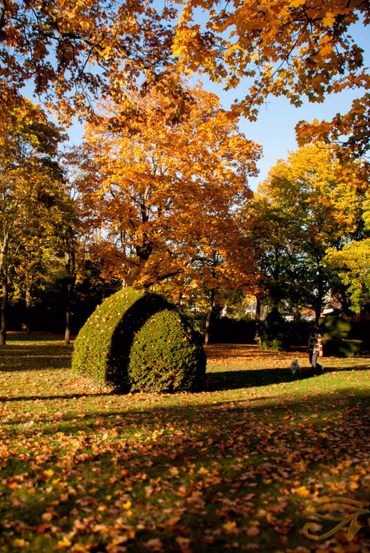 La chaleur de l'automne