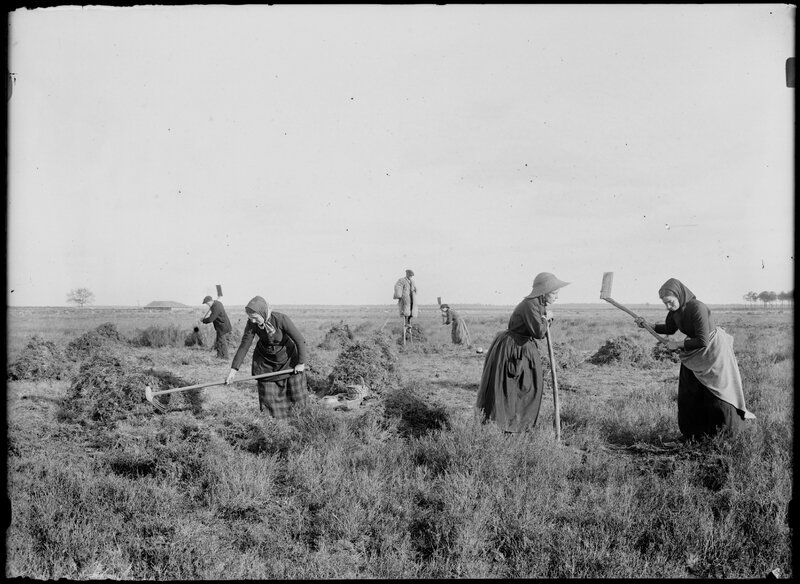 66-27-2084_commensacq_le_pradeou_coupeuses_de_bruyere_30_avril_1899_