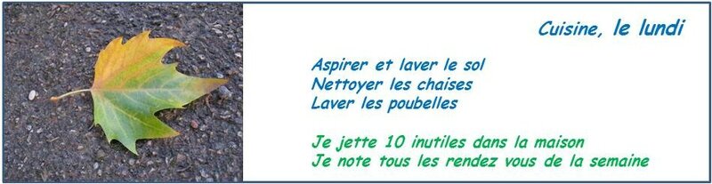 lundi11nov