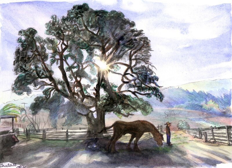 09 JL arbre cheval