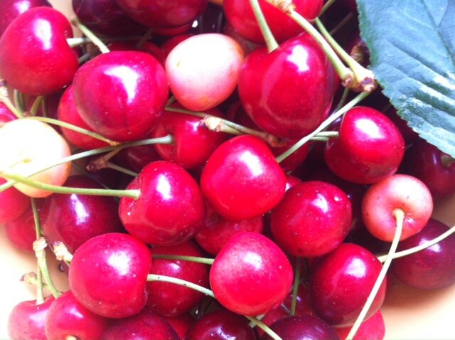 Cure de cerises - NATUROPATHE MONTPELLIER CABINET AU Cure de cerises - NATUROPATHE MONTPELLIER CABINET AU