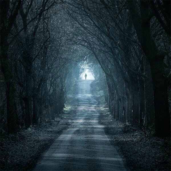 Leszek Bujnowski 8