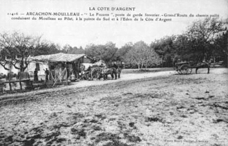 Pyla-Sur-Mer-Vialard_html_39f93cba