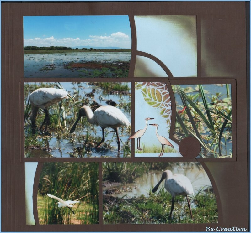 OiseauxManyara1