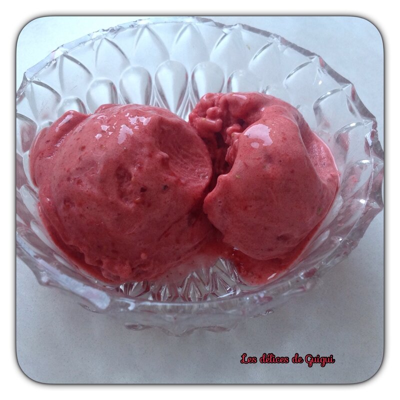 SORBET AUX FRUITS ROUGES AU THERMOMIX Les Délices de Guigui Célya