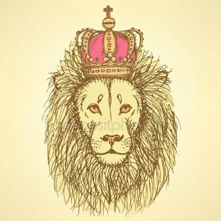 lion