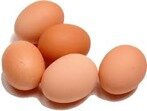 oeufs2 oeufs2