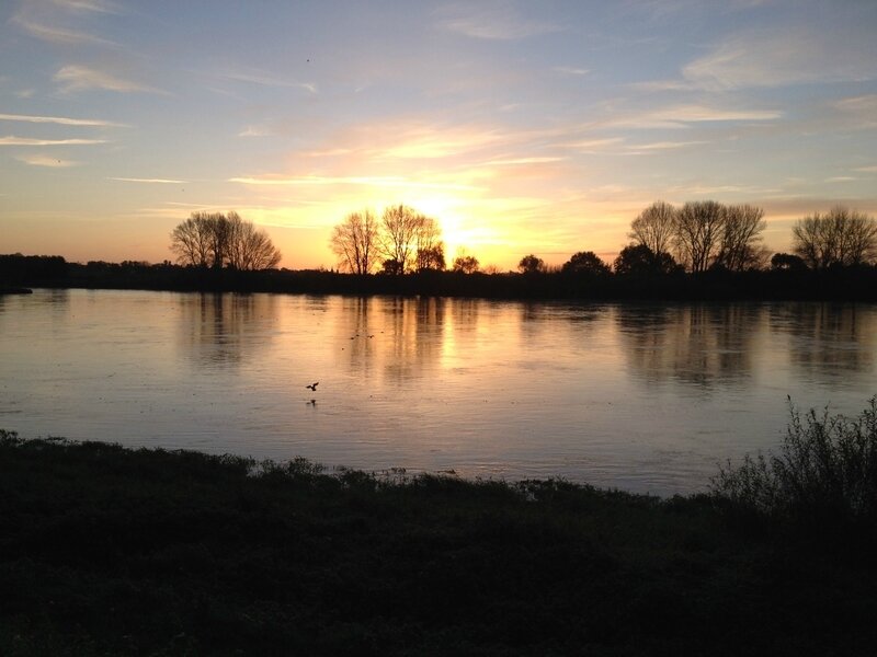 Bords de Loire 3