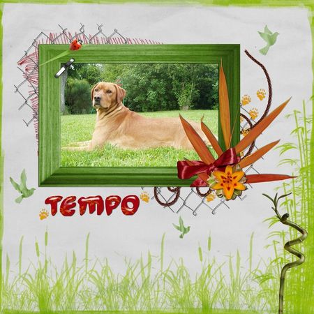 Chouk77_fleur_de_bambou_papier16