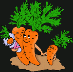 carottes-gifs-animes-0941404