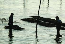 images (8)