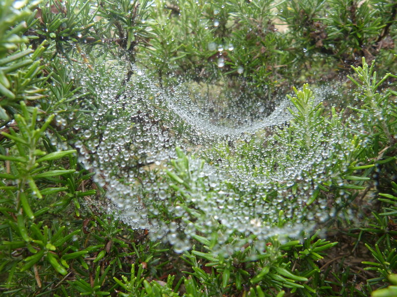 P1060081