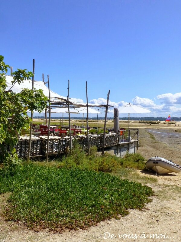 Cap Ferret 7