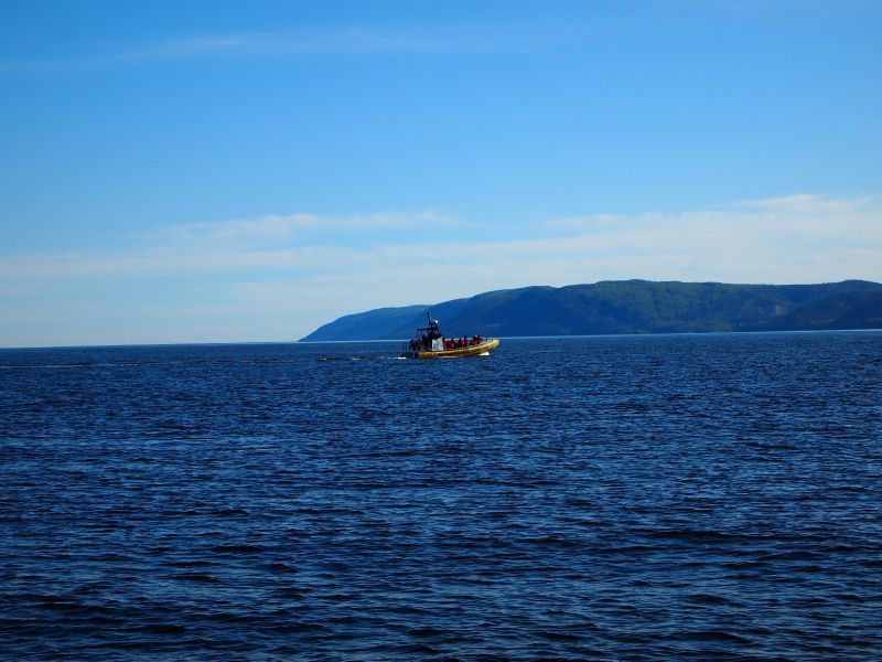 rencontre tadoussac