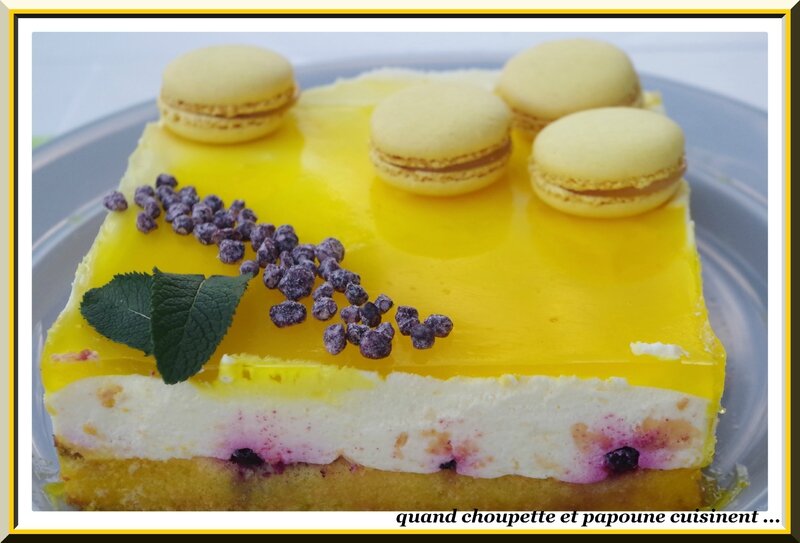 Gâteau à la mousse de citron et aux myrtilles-5163