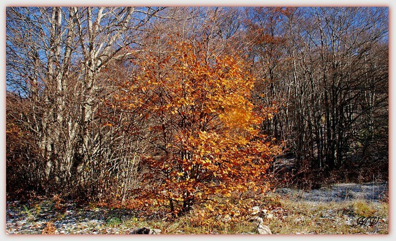 11 11 002 Plat-Moteau Retord (1) (Copier)