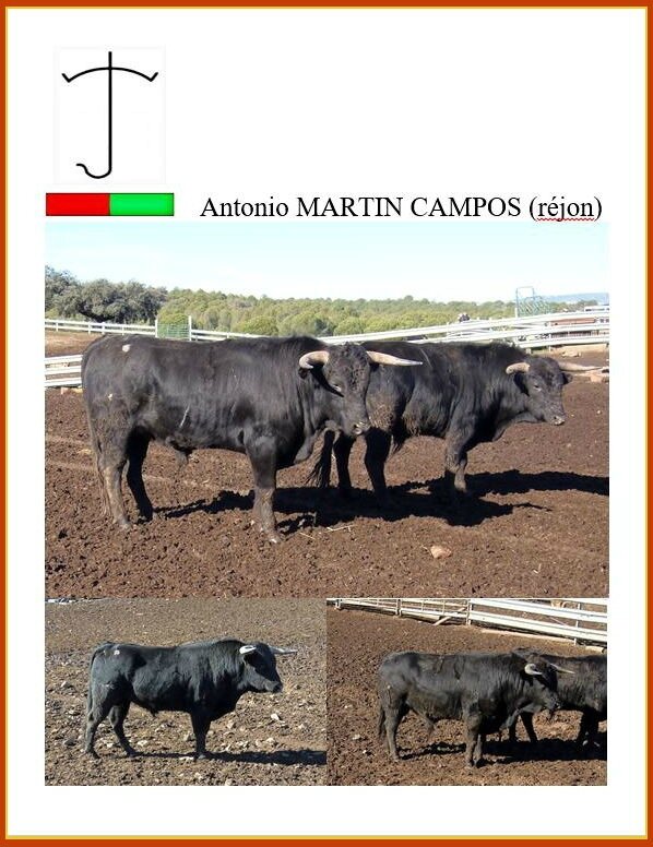 1-martin-campos-rejon