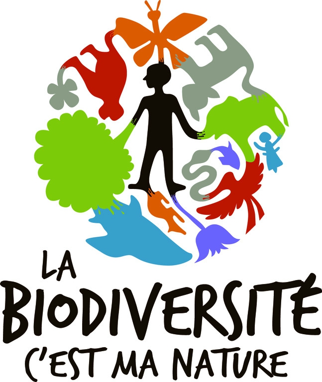 developpement durable pourquoi dissertation On expliquera pourquoi l'analyse économique du développement durable, qui se fonde sur la préservation des possibilités de développement pour les générations . developpement durable pourquoi dissertation On expliquera pourquoi l'analyse économique du développement durable, qui se fonde sur la préservation des possibilités de développement pour les générations .