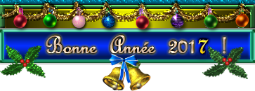 023-gif-bandeau-
bonne-annee-2017-guirlande-houx
